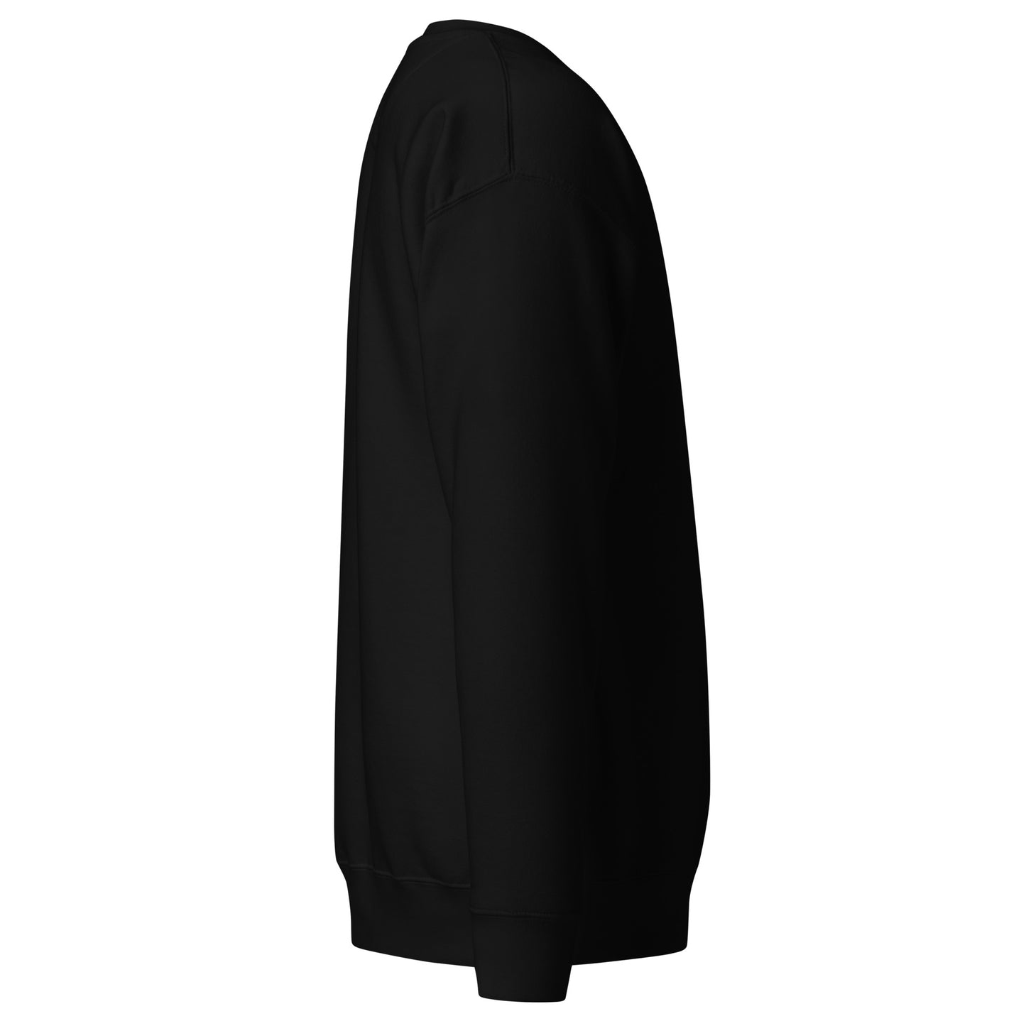 Sweatshirt - Pride Flag Patch